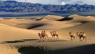 Gobi-desert