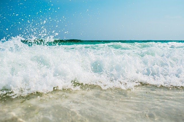 les-5-meilleures-plages-autorisees-aux-chiens-en-france