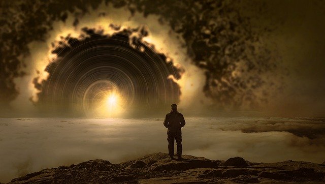 5-animaux-cools-dont-vous-ignoriez-l-existence