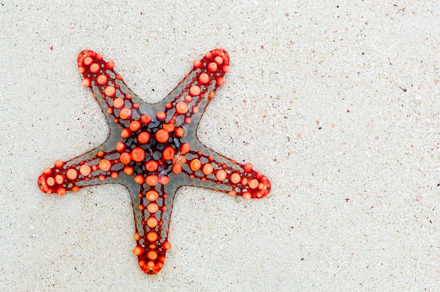 5-stars-detruites-par-la-celebrites