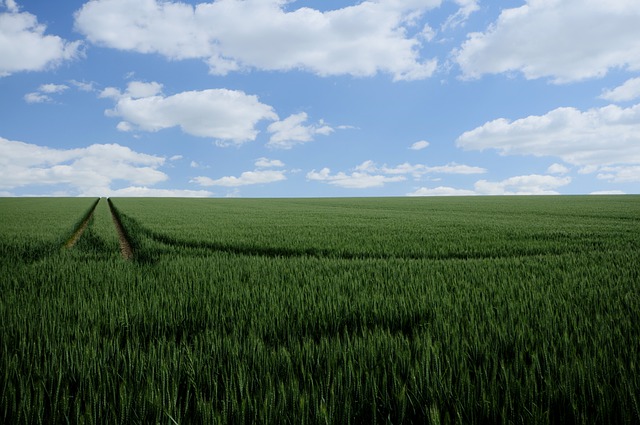 les-5-meilleures-marques-de-matelas