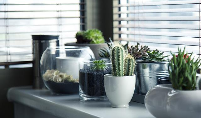 les-5-avantages-des-stores-pour-votre-interieur