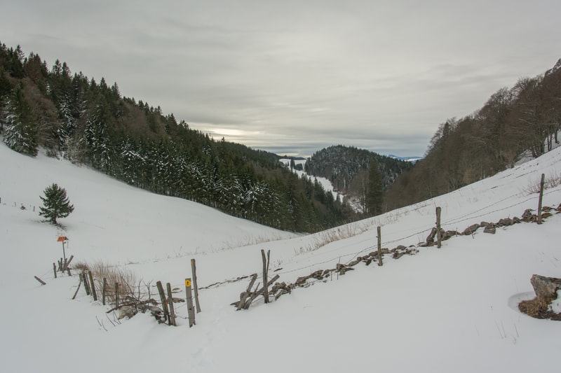 les-5-additifs-alimentaires-les-plus-dangereux