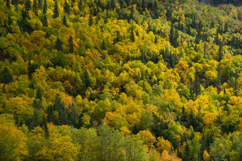 special-hommes-5-conseils-pour-avoir-des-abdos-sculptes