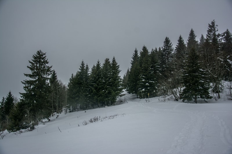 porte-fenetre-pvc-pas-chere-les-5-meilleurs-sites-pour-l-achat