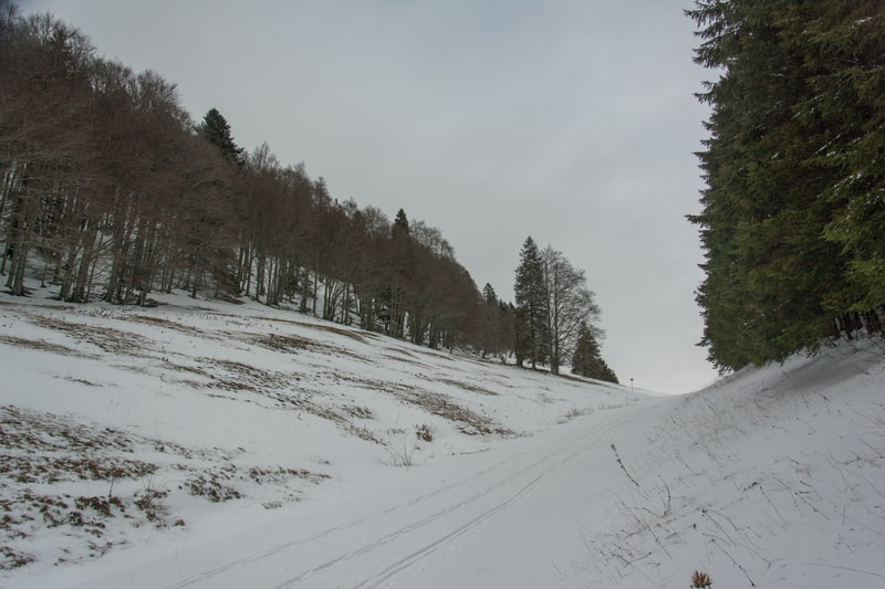 vetement-bebe-les-5-meilleures-marques