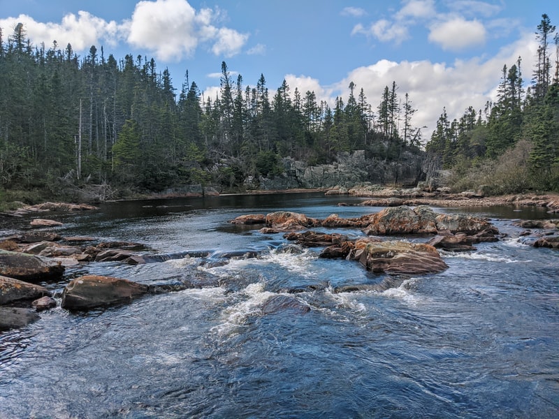 les-5-bonnes-raisons-de-se-mettre-a-la-voiture-electrique
