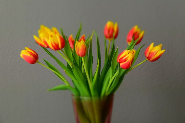 comment-conserver-au-maximum-un-bouquet-de-fleurs